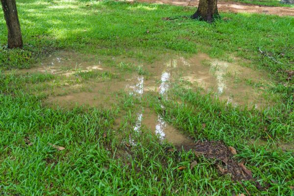 Cost of Storm Water Drainage Service in Omaha
