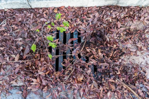 Cost of Yard Drain Unclogging in Omaha