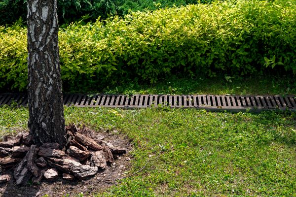 Cost of Wet Yard Drainage in Omaha