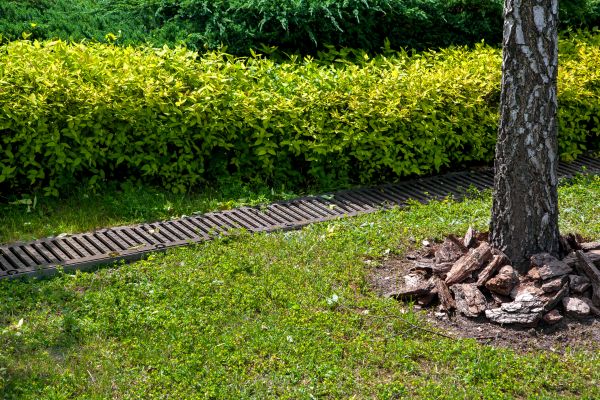 Cost of Residential Landscape Drainage in Omaha