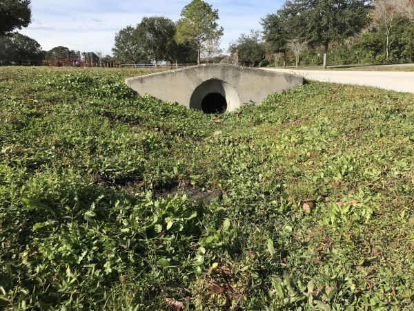 Cost of Swale Drainage Service in Omaha