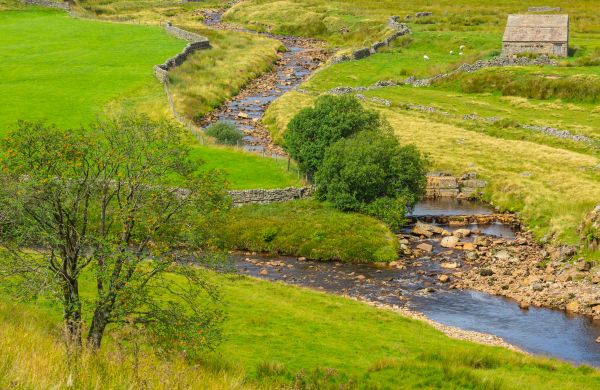 Cost of Swale Repair in Omaha